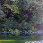 Miller Bar Campground