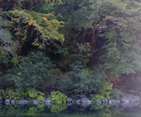 Miller Bar Campground