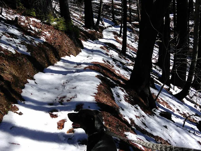 Japanese Bombing Site Trailhead (recgovnpsdata) Picture 1