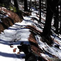 Japanese Bombing Site Trailhead (recgovnpsdata) ico