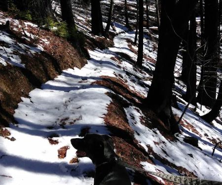 Japanese Bombing Site Trailhead (recgovnpsdata)