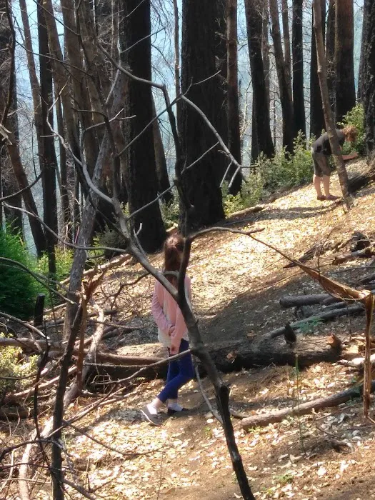 Japanese Bombing Site Trailhead (recgovnpsdata) Picture 2