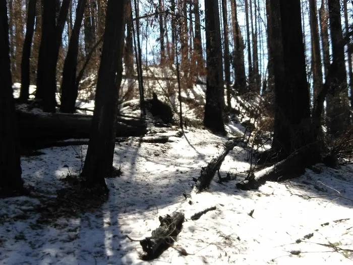 Japanese Bombing Site Trailhead (recgovnpsdata) Picture 3