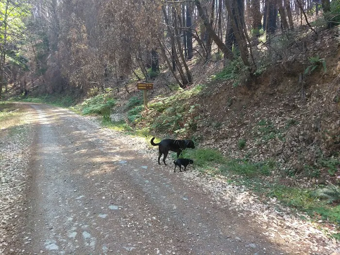 Japanese Bombing Site Trailhead (recgovnpsdata) Picture 4