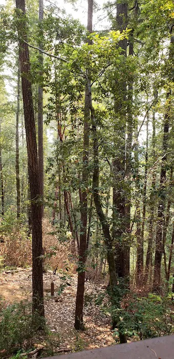 Japanese Bombing Site Trailhead (recgovnpsdata) Picture 10