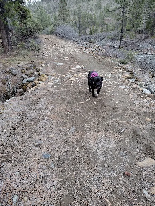 Josephine Camp Campground Picture 8