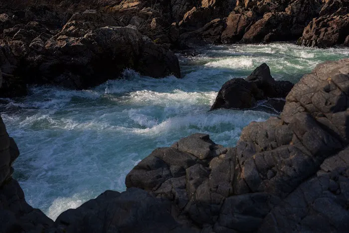 Little Falls Campground Picture 6