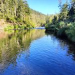 Little Falls Campground