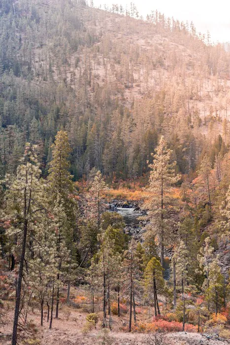 Little Falls Campground Picture 10