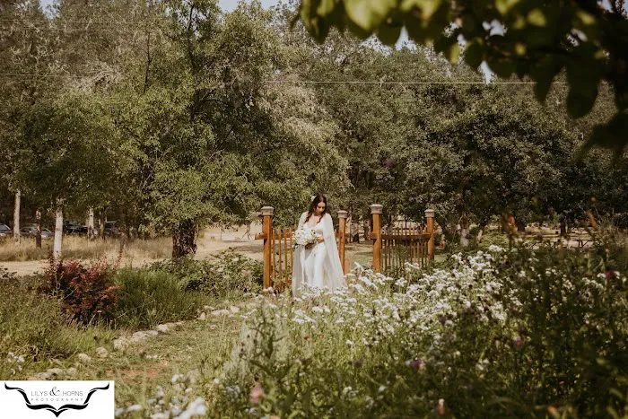 Cedar Bloom Farm Picture 1