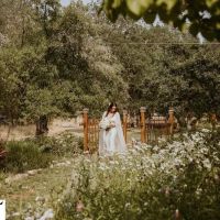 Cedar Bloom Farm ico