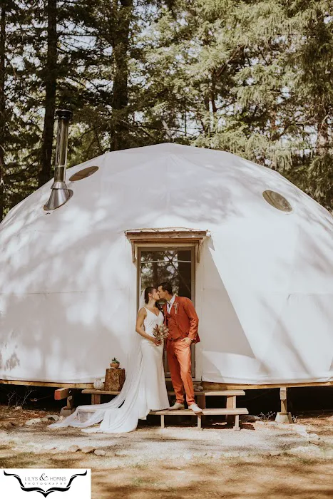 Cedar Bloom Farm Picture 8