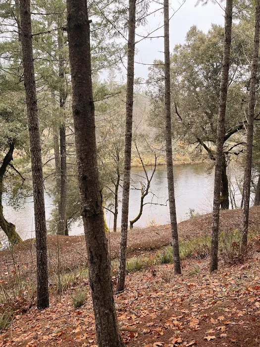 Cedar Bloom Farm Picture 6