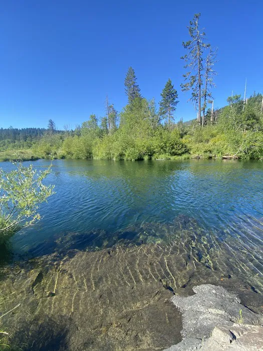 Cedar Bloom Farm Picture 5