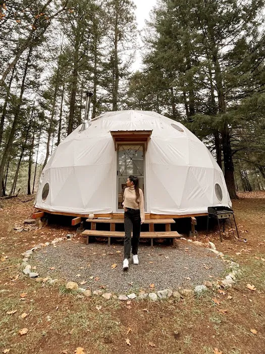 Cedar Bloom Farm Picture 4