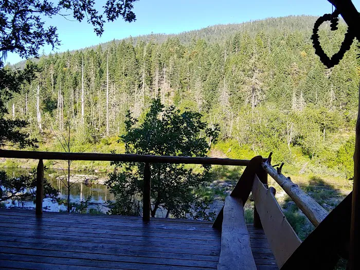 Cedar Bloom Farm Picture 10