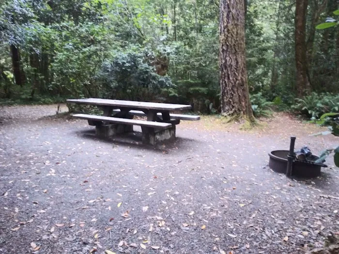 Ludlum Campground Picture 7