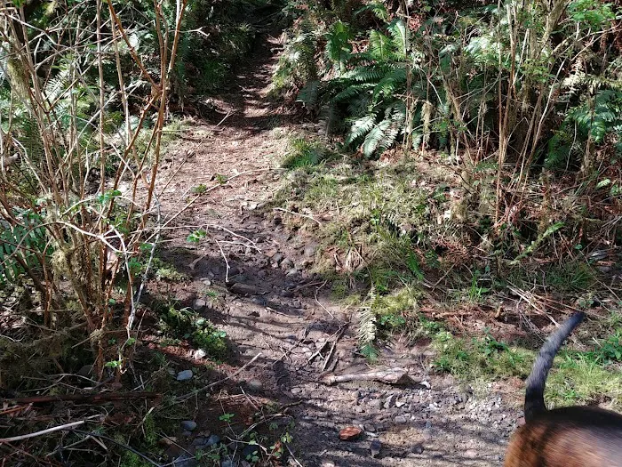 Ludlum Campground Picture 5