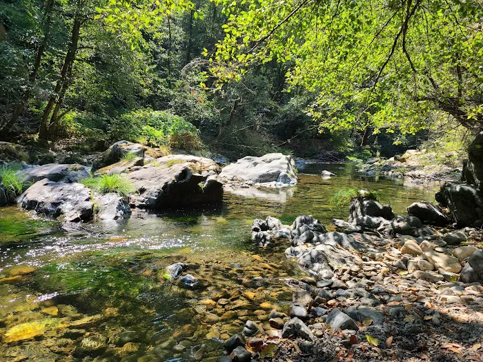 Ludlum Campground Picture 4