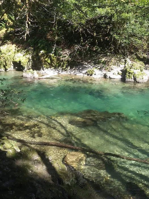 Ludlum Campground Picture 10