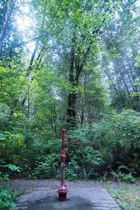 Ludlum Campground Picture 9