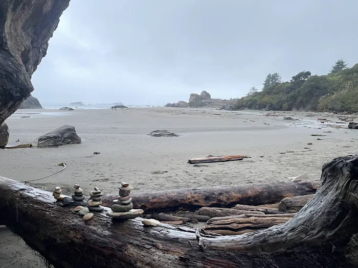 Harris Beach State Park Campground Picture 1