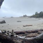 Harris Beach State Park Campground