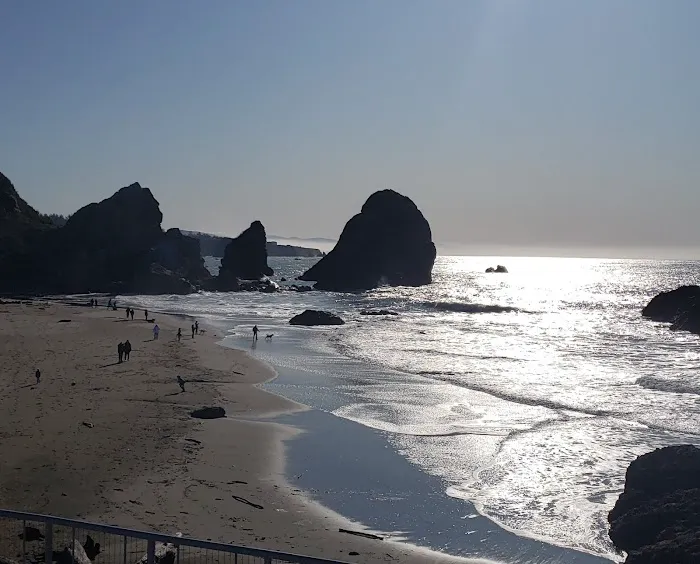 Harris Beach State Park Campground Picture 10