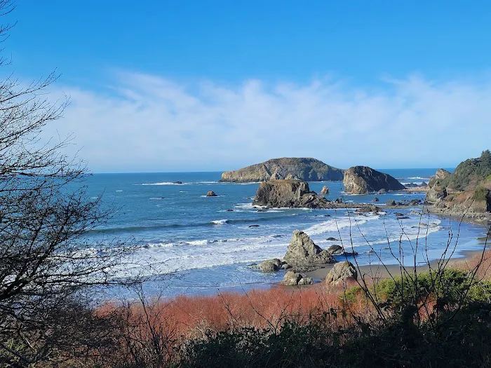 Harris Beach State Park Campground Picture 2
