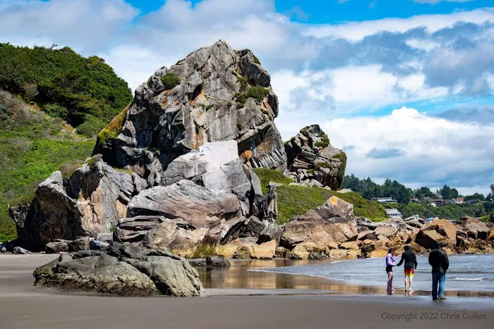 Harris Beach State Park Campground Picture 3