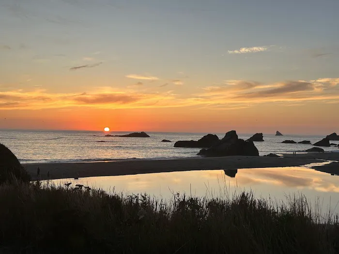 Harris Beach State Park Campground Picture 5