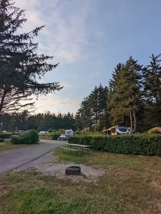 Harris Beach State Park Campground Picture 4