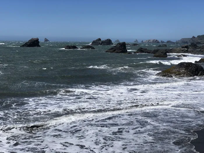 Harris Beach State Park Campground Picture 7