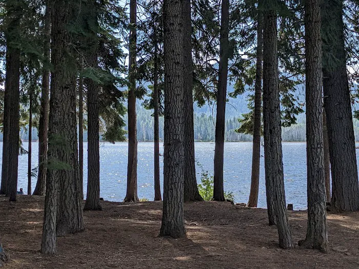 Aspen Point Campground - Lake of the Woods Picture 2