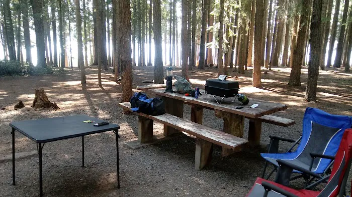 Aspen Point Campground - Lake of the Woods Picture 4