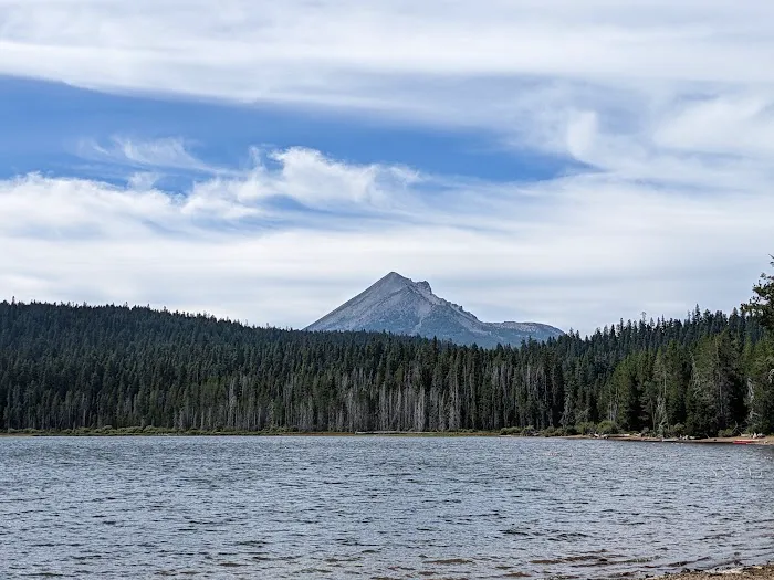 Aspen Point Campground - Lake of the Woods Picture 1