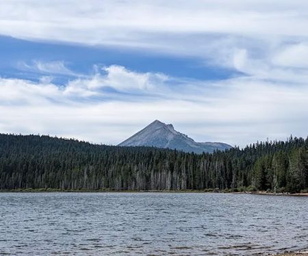 Aspen Point Campground - Lake of the Woods