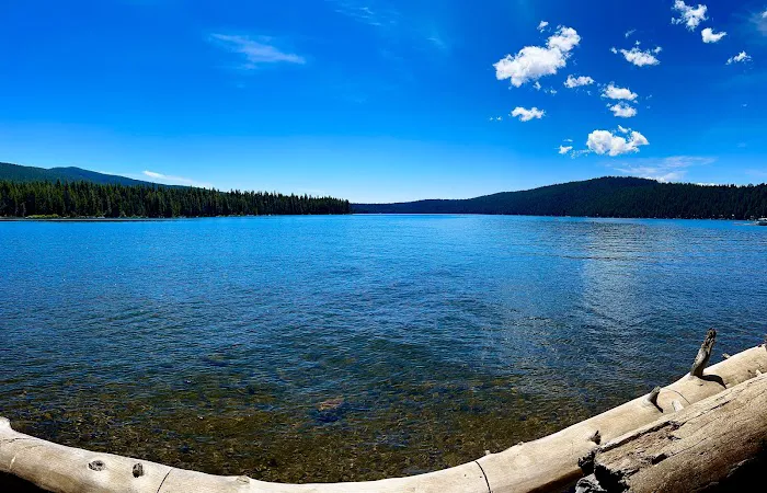 Aspen Point Campground - Lake of the Woods Picture 7