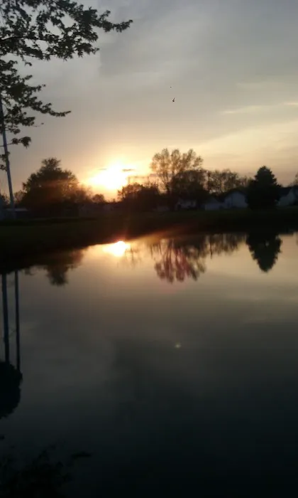 Tower Mobile Home Park & Sales Picture 3