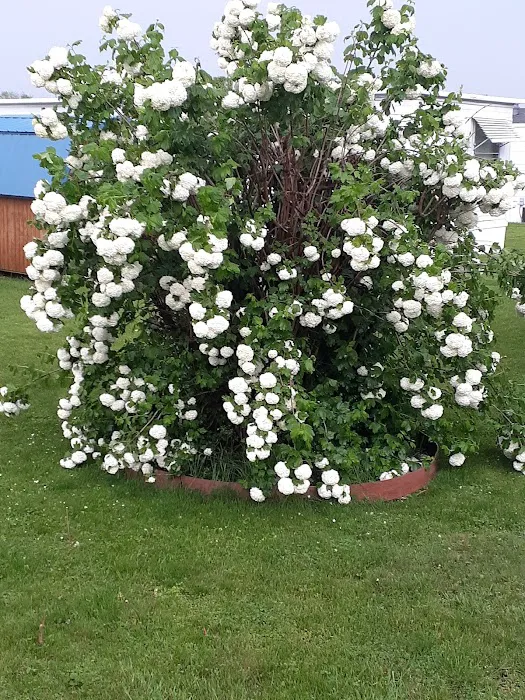 Tower Mobile Home Park & Sales Picture 5