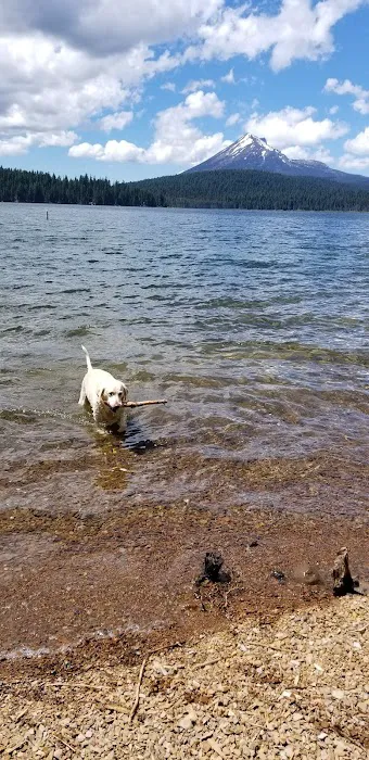 Sunset Campground - Lake of the Woods Picture 5