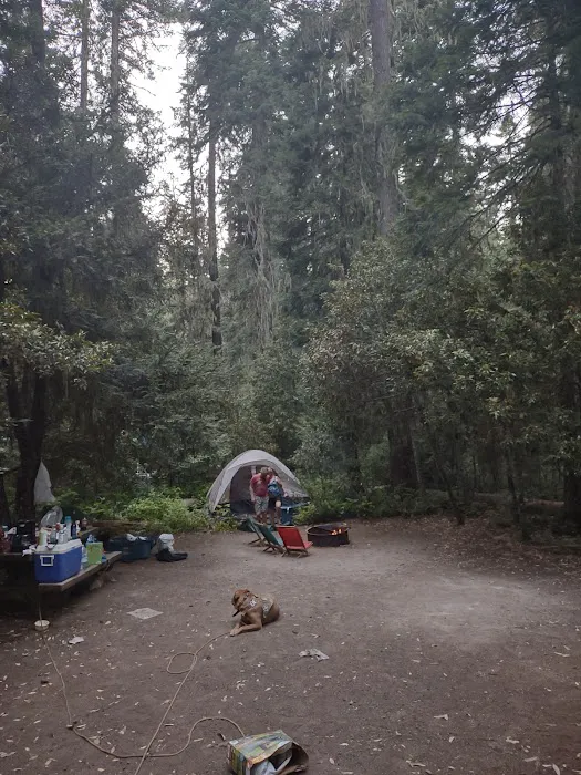 Doe Point Campground & Day Use Picture 3