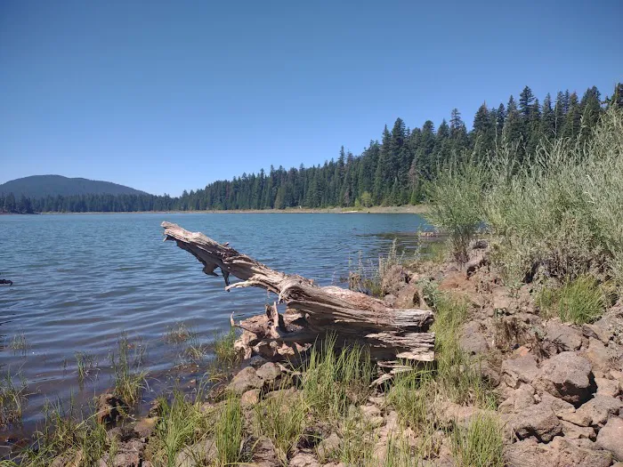 Doe Point Campground & Day Use Picture 2