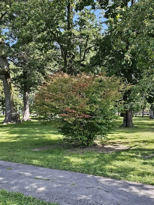 Greenwood Park Manufactured Home Community Picture 4