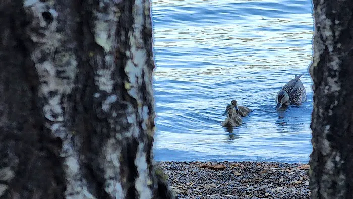 Camp Esther Applegate Picture 4