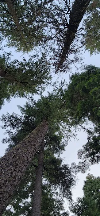 Camp Esther Applegate Picture 3