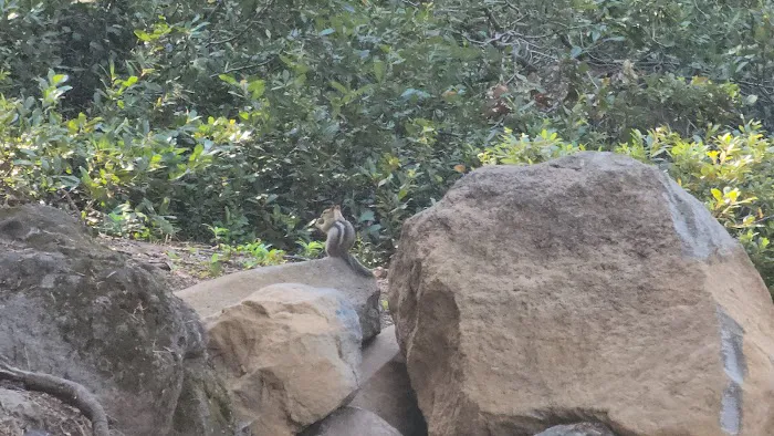 Camp Esther Applegate Picture 9