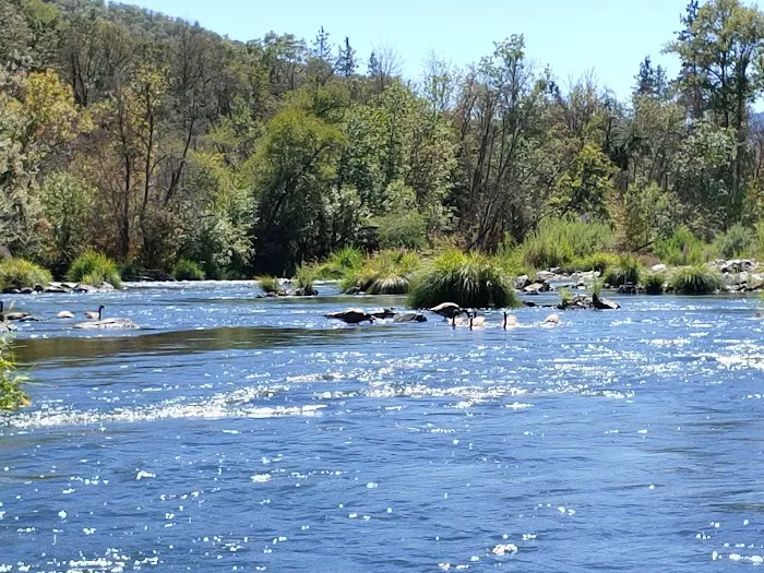North Fork Campground Picture 3