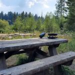 Willow Prairie Horse Campground