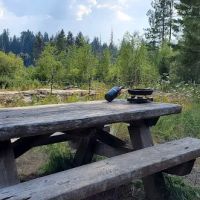 Willow Prairie Horse Campground ico